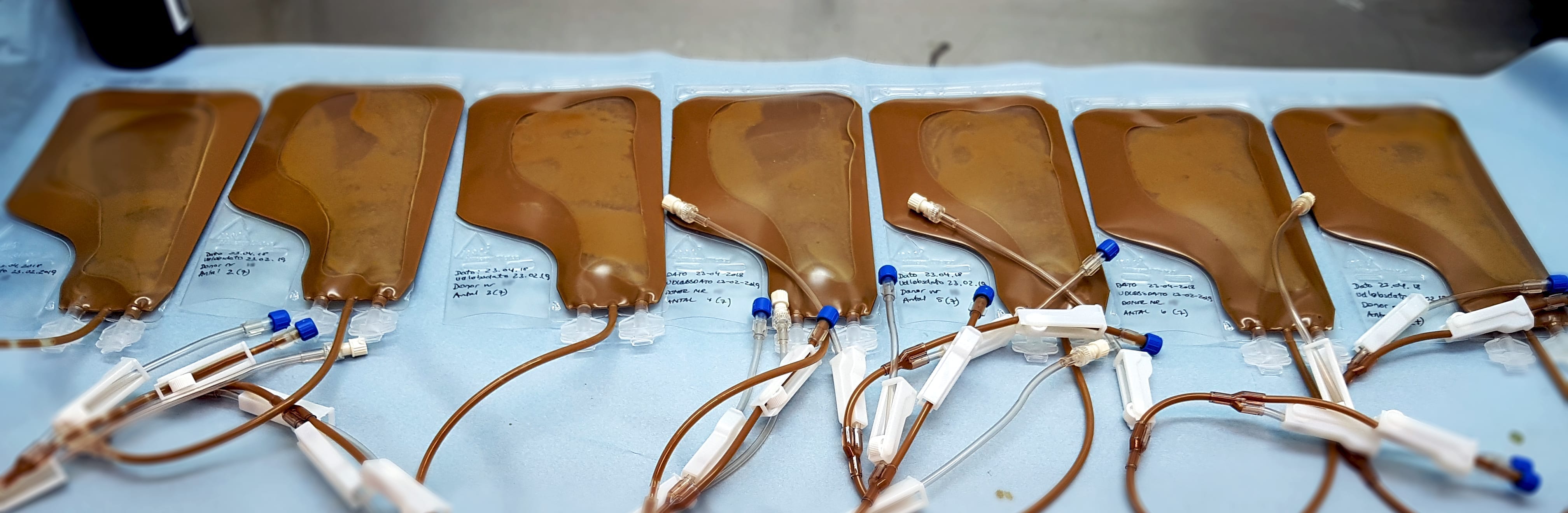 afføringsprøver til fæcestanplantation klargjort i transplantationsposer